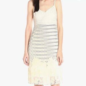 Plenty by Tracey Reese Santi Ivory Dress size 6